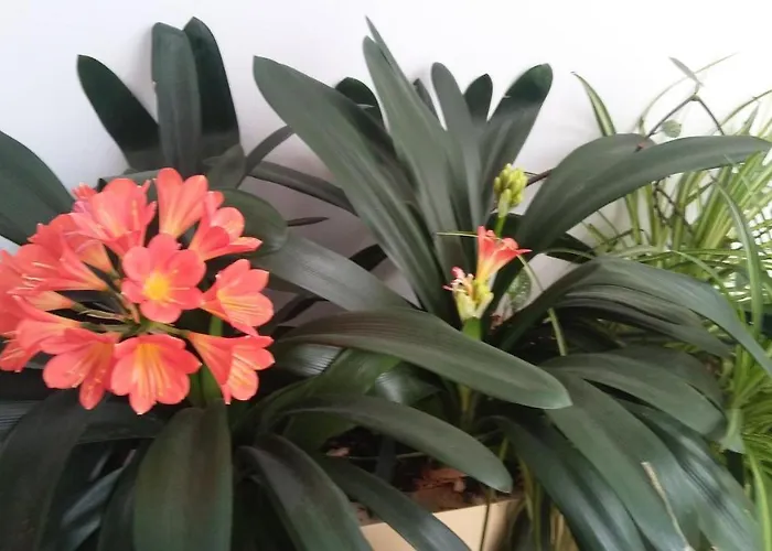 Rurales Llagumelon Villahormes