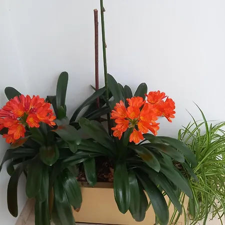 Apartamento Rurales Llagumelon Villahormes