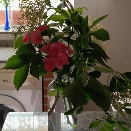 Apartment Rurales Llagumelon